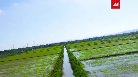 High-Efficiency Solar Water Pump for Eco-Friendly Irrigation Solutions